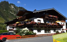 Pension Und Appartement Weinschreiber